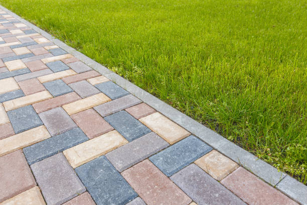 Best Driveway Paving Contractor  in Robesonia, PA